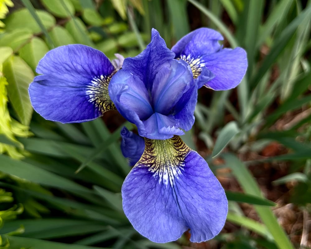 May 2025: Doing Less, More